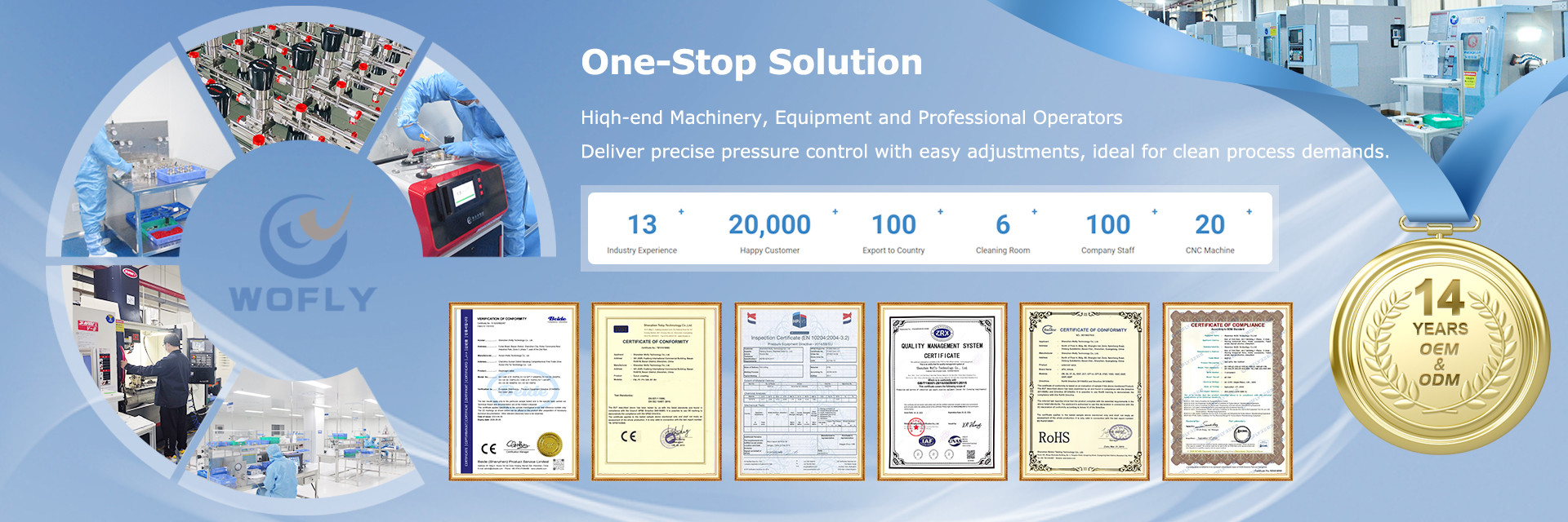 QUALITÄT Edelstahl-Druckregler Fabrik